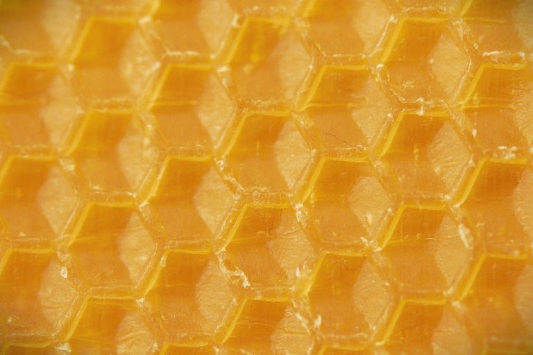 Pixabay-Efraimstochter-233757_1920